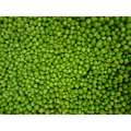 Commodity Canned Fruit & Vegetables Commodity Extra Standard 4 Sieve Peas #10 Can, PK6 9673200636